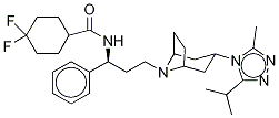 馬拉韋羅D6