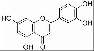 木犀草素