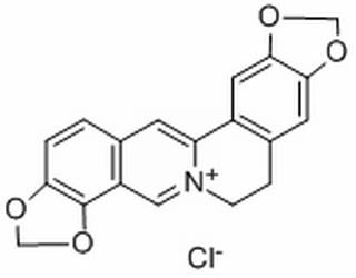 鹽酸黃連堿