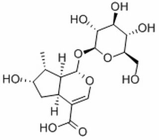 馬錢苷酸