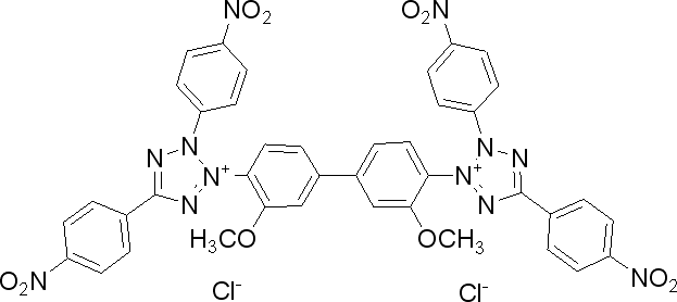 四硝基四氮唑藍（TNBT）