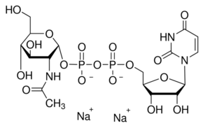 尿苷-5′-二磷酸-N-乙?；?葡糖胺鈉鹽