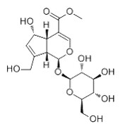 去乙酰車葉草酸甲酯