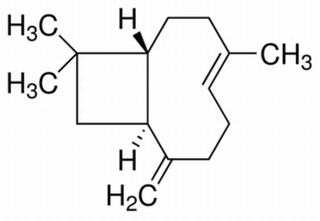 β-丁香烯