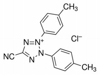 5-氰基-2，3-二-（P-芐基-四唑氯化物）