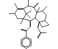 13-epi-10-Deacetyl Baccatin III